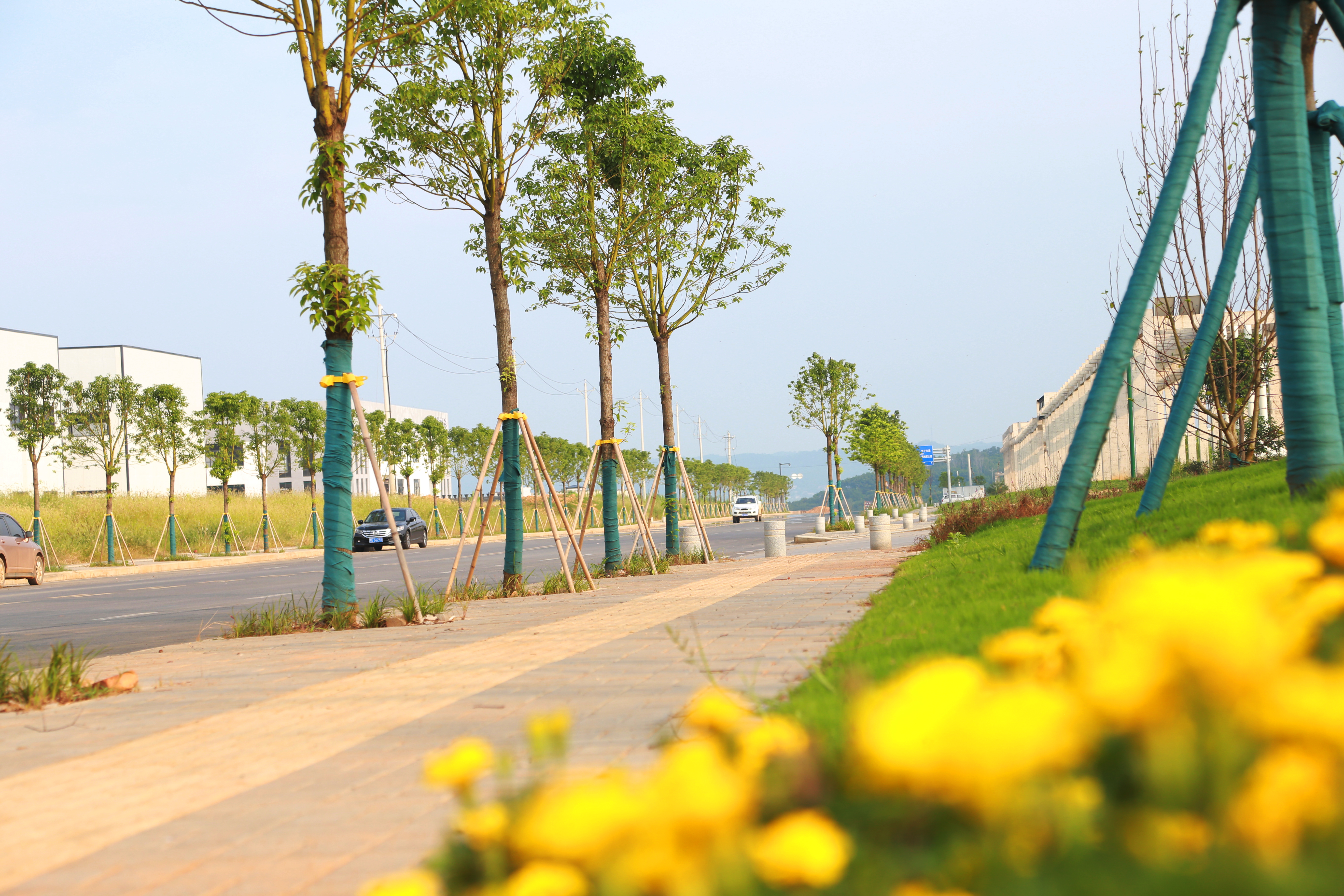 姚家港化工園基礎(chǔ)設(shè)施建設(shè)修復(fù)項目（花園式園區(qū)） (2).jpg